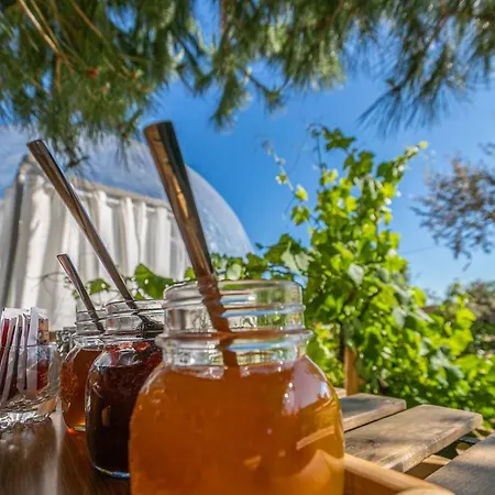 Дом отдыха Holiday Rue Monte Dos Cucos Сетубал