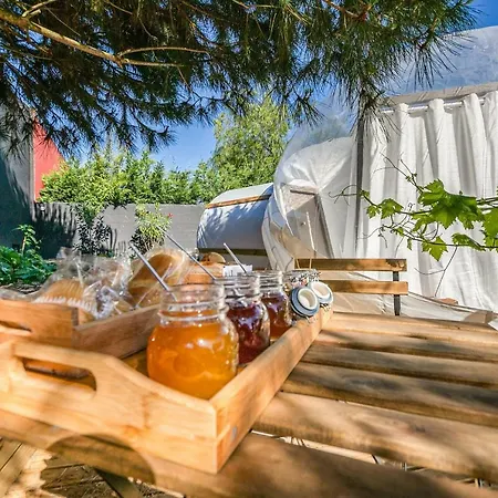 Holiday home Holiday Rue Monte Dos Cucos Setubal